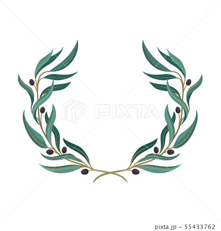 Wreath of olive branches with fruits. Vector illustration on white background. 55433762