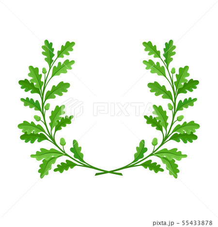Wreath of green oak branches. Vector illustration on white background. Wreath of green oak branches. Vector illustration on white background. 55433878