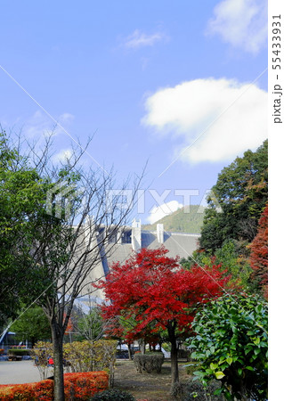 紅葉の宮ヶ瀬ダム タテ位置の写真素材