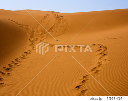 新疆ウイグル自治区 鄯善 クムタグ砂漠 Kumtag Desert, Xinjiang,China 新疆ウイグル自治区 鄯善 クムタグ砂漠 Kumtag Desert, Xinjiang,China 55434364