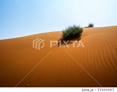新疆ウイグル自治区 鄯善 クムタグ砂漠 Kumtag Desert, Xinjiang,China 55434367