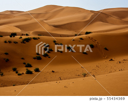 新疆ウイグル自治区 鄯善 クムタグ砂漠 Kumtag Desert, Xinjiang,China 新疆ウイグル自治区 鄯善 クムタグ砂漠 Kumtag Desert, Xinjiang,China 55434369