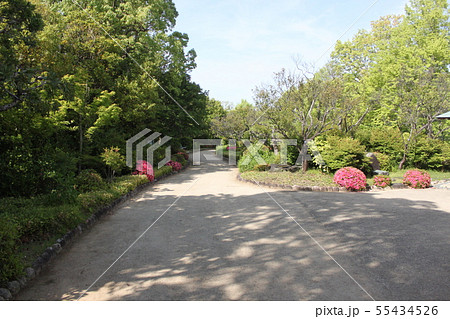 堺市大仙公園内日本庭園の新緑風景 堺市大仙公園内日本庭園の新緑風景 55434526