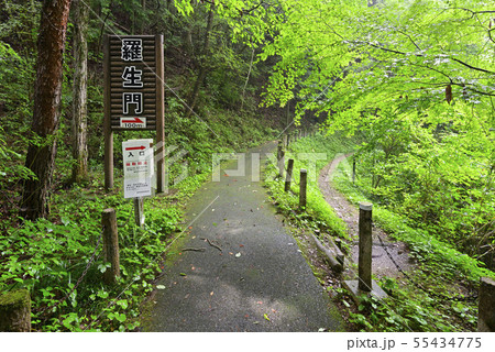 羅生門　遊歩道（岡山県新見市） 55434775