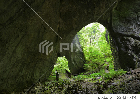 羅生門　第三門（岡山県新見市） 55434784