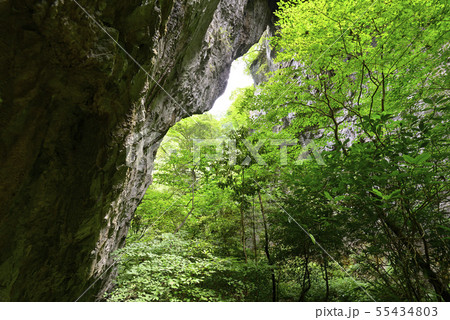 羅生門　第一門（岡山県新見市） 55434803
