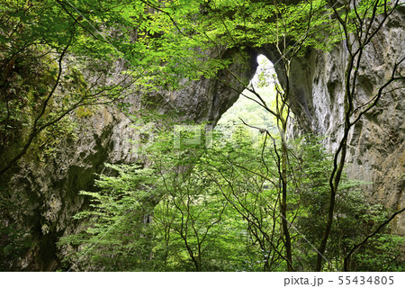 羅生門　第一門（岡山県新見市） 55434805