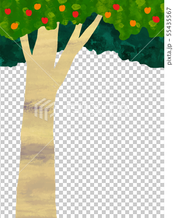 Vector background material Fruitful tree illustration frame 55435567