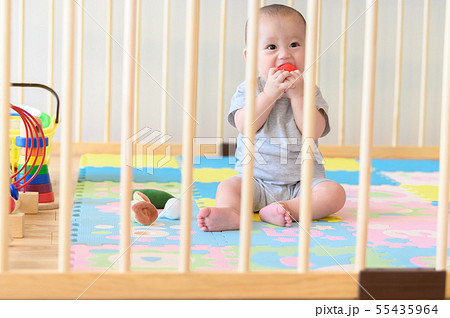ベビーサークルで遊ぶ乳児 55435964