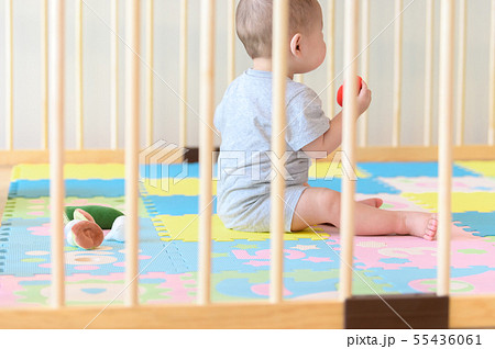 ベビーサークルで遊ぶ乳児 55436061