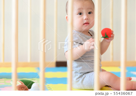 ベビーサークルで遊ぶ乳児 55436067