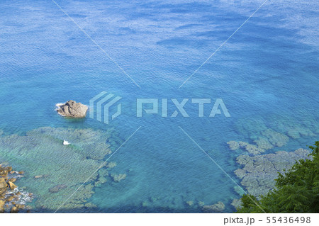 奄美大島　 戸円ふれあいパークから見た海の風景 55436498