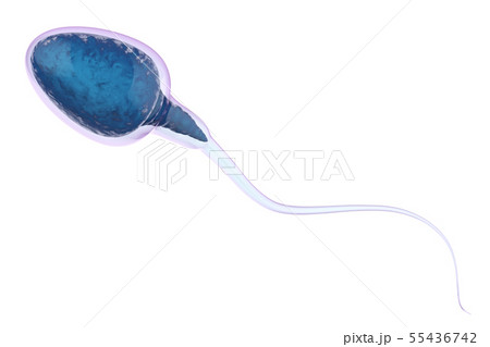 blue sperm isolated on white 55436742