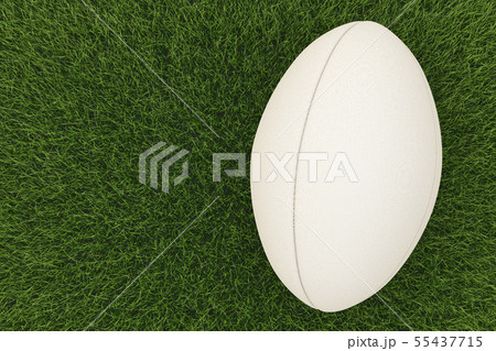 rugby ball on green field 55437715