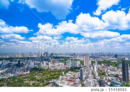 《東京都》青い空と白い雲・東京都市風景 55438093