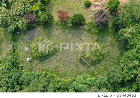 墓 墓地 仙山 55440463