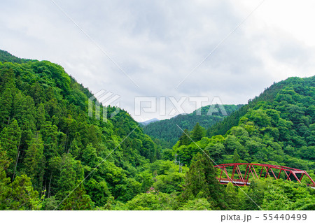 【埼玉】登仙橋（新川町） 55440499