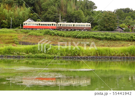 高松琴平電鉄 旧形電車(23号・120号) 高松琴平電鉄 旧形電車(23号・120号) 55441942