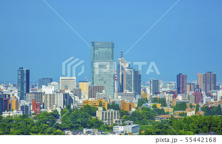 仙台市全景 新緑 仙台市全景 新緑 55442168