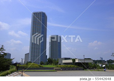 二子玉川公園　風景 55442648