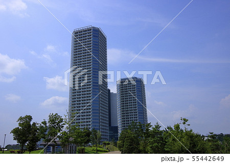 二子玉川公園 風景 二子玉川公園 風景 55442649
