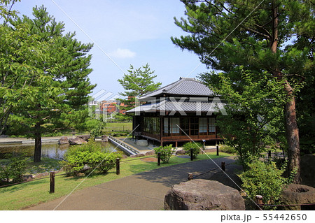 二子玉川公園 旧清水邸 風景 二子玉川公園 旧清水邸 風景 55442650