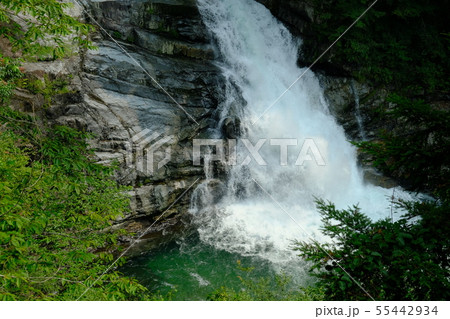 夏の大泰の滝（奈良県吉野郡十津川村） 55442934