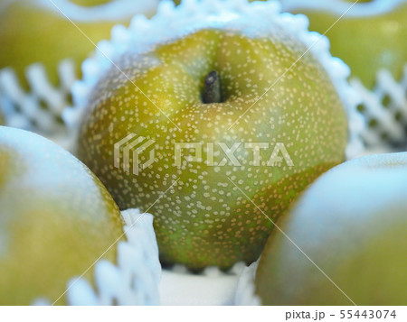 伊万里梨 伊万里梨 55443074