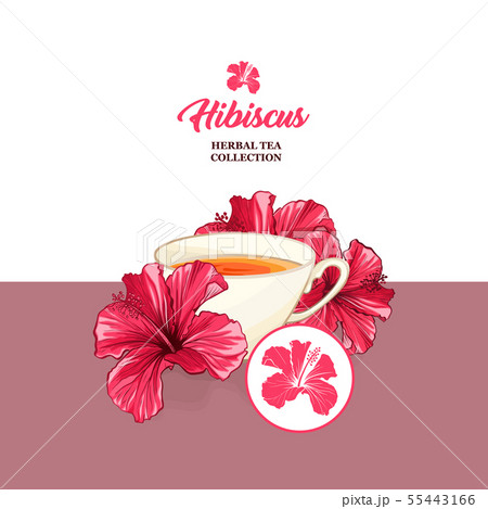 Tea Card with Hawaiian Hibiscus Red Fragrance Flower. Backdrop for Tea Packaging Print Design. Tea Card with Hawaiian Hibiscus Red Fragrance Flower. Backdrop for Tea Packaging Print Design. 55443166