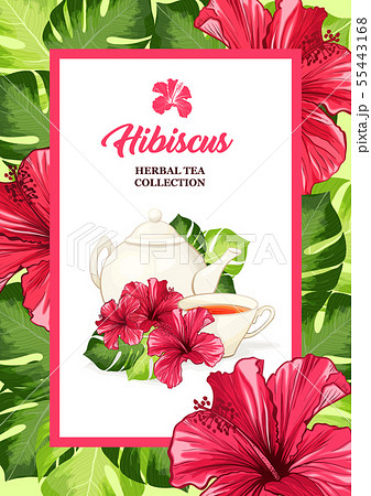 Atlanta Braves White Hibiscus Indian Red Background 3D Hawaiian Shirt Gift  For Fans - Freedomdesign