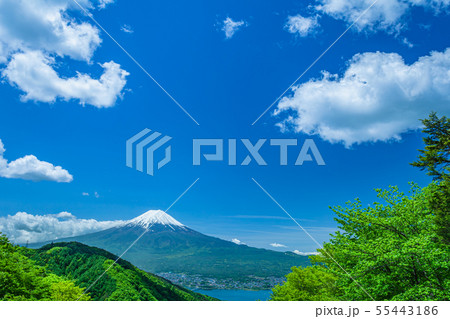 新緑の山と富士山 新緑の山と富士山 55443186