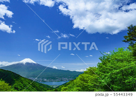 新緑の山と富士山 新緑の山と富士山 55443349