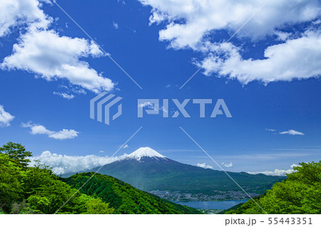 新緑の山と富士山 新緑の山と富士山 55443351
