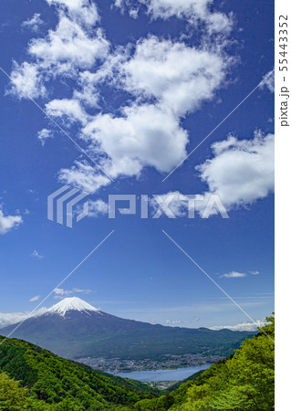 新緑の山と富士山 新緑の山と富士山 55443352