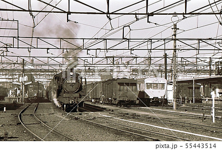 昭和43年　東京八王子機関区蒸気機関車C58　 55443514