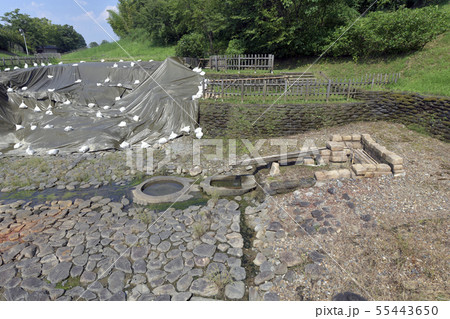 酒船石遺跡 55443650