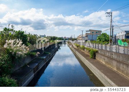 景色 風景 台湾 55443723