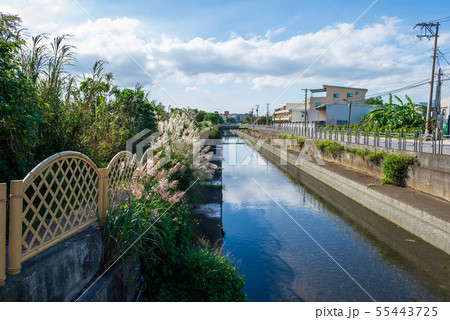 景色 風景 台湾 55443725