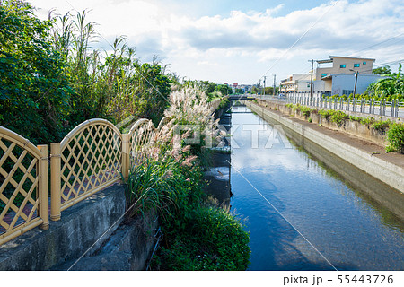 景色 風景 台湾 55443726