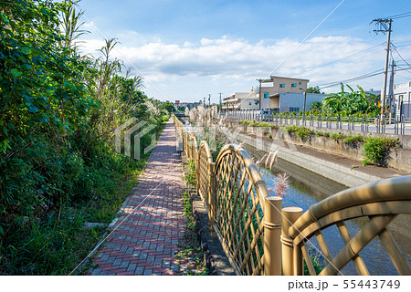景色 風景 台湾 55443749