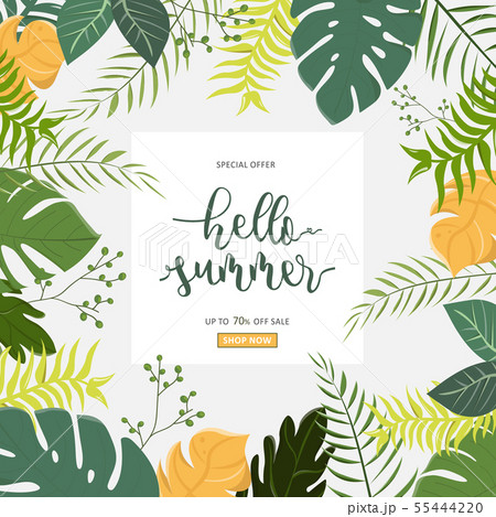 Various tropical forest illustrations for summer 55444220