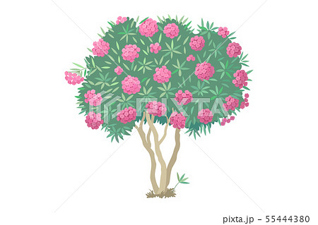 vector hand drawn plant clipart 55444380