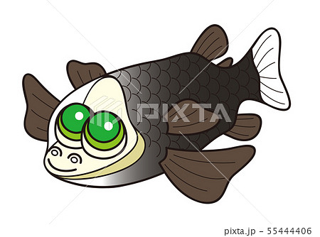 デメニギス 深海魚 キャラクター イラスト 55444406