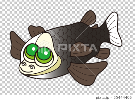 デメニギス 深海魚 キャラクター イラスト 55444406