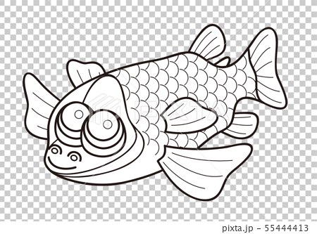 デメニギス 深海魚 キャラクター ぬりえ イラストのイラスト素材