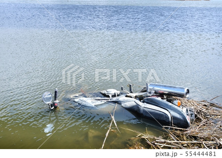 不法投棄 55444481