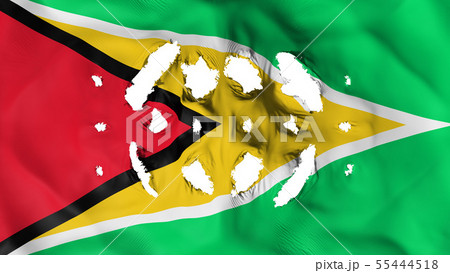 Guyana flag with a small holes 55444518