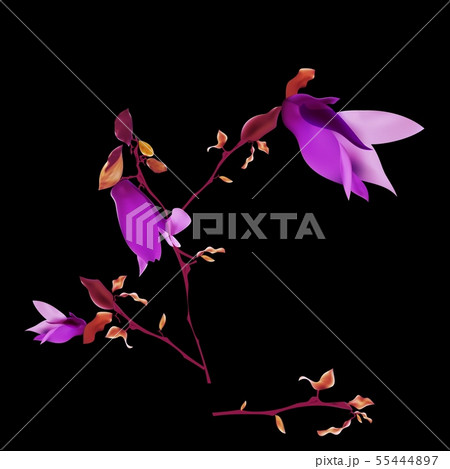 Colorful abstract neon shapes. Abstract Futuristic 55444897