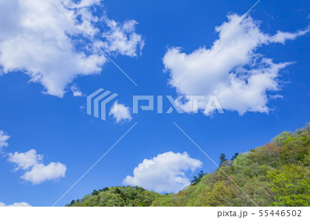 雲と青空と若葉の山 55446502