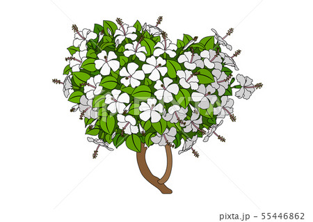 vector hand drawn plant clipart vector hand drawn plant clipart 55446862